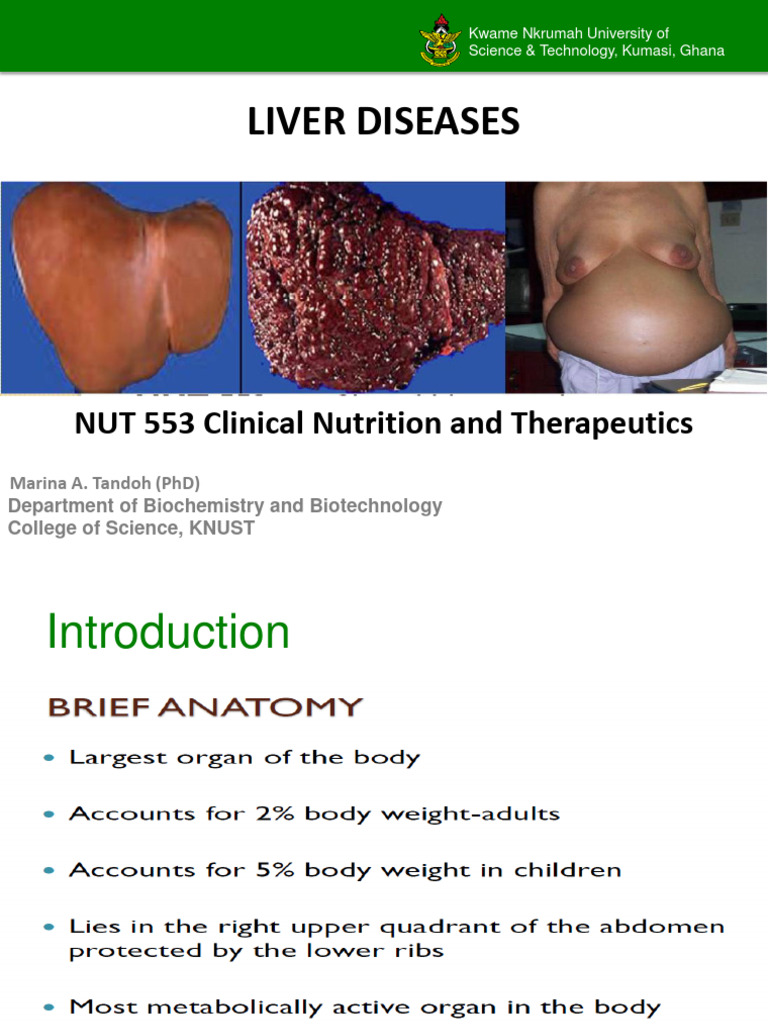 Lecture 2 PHN Cycle and Major Nut Problems in D'ping Countries | PDF