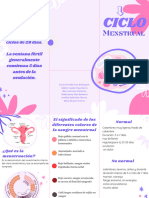 Brochure Catalogo de Velas Femenino Aesthetic Rosa y Azul