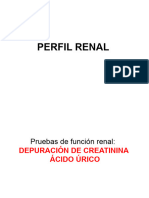 ACIDO URICO Perfil Renal