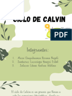 Ciclo de Calvin