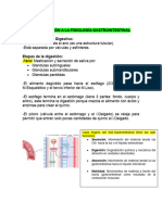 FISIOLOGÍA GASTROINTESTINAL