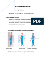 Practica 1 de Laboratorio Anatomia Valery