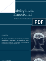 Palestra Inteligência Emocional