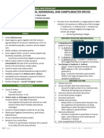 4 Vibrio Aeromonas and Campylobacter Species
