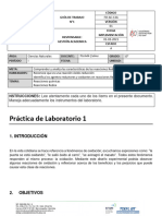 Práctica de Laboratorio 1: Nstrucciones