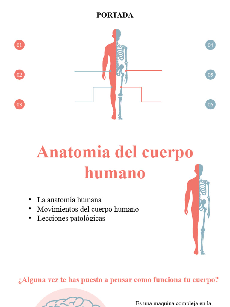 Anatomia del cuerpo humano | PDF | Anatomía | Cuerpo humano