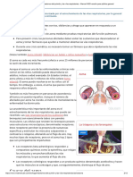 Asma - Trastornos Del Pulmón y Las Vías Respiratorias - Manual MSD Versión Para Público General