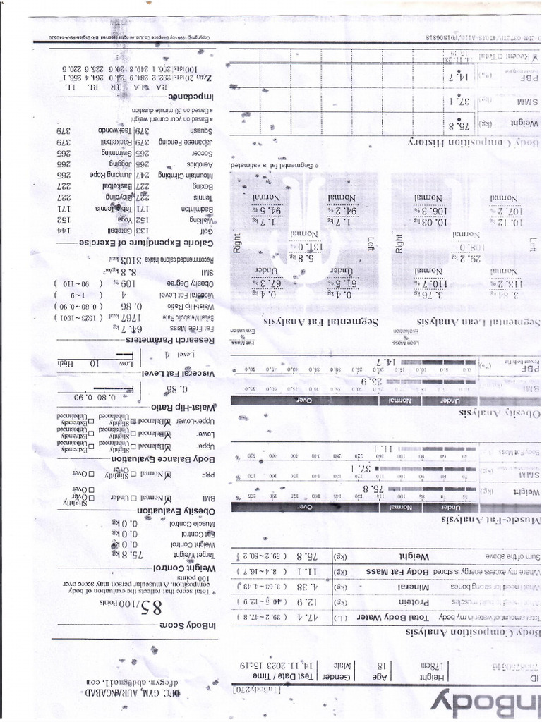 Scan | PDF
