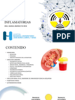 APARATO URINARIO - HEMATURIA (Pedrosa)