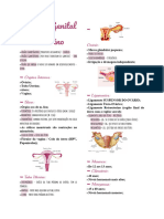 Anatomia Humana