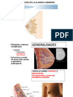 Glandula Mamaria
