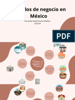 Modelo de Negocios en México - 20240203 - 000000 - 0000
