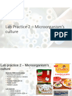 Practice 2 - Microorganism's Culture
