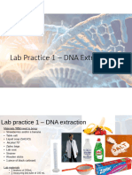 Practice 1 - DNA Extraction