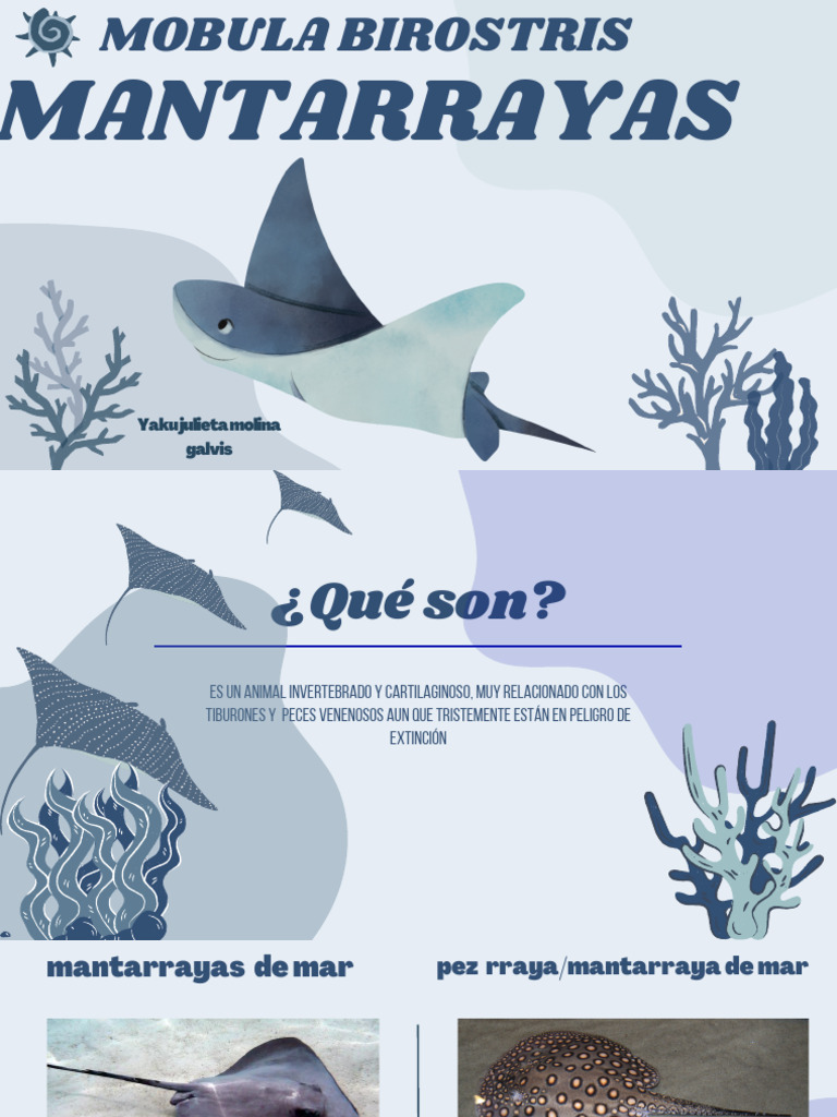 Mantarrayas: Invertebrados en Peligro | PDF | Ciencia y matemáticas ...