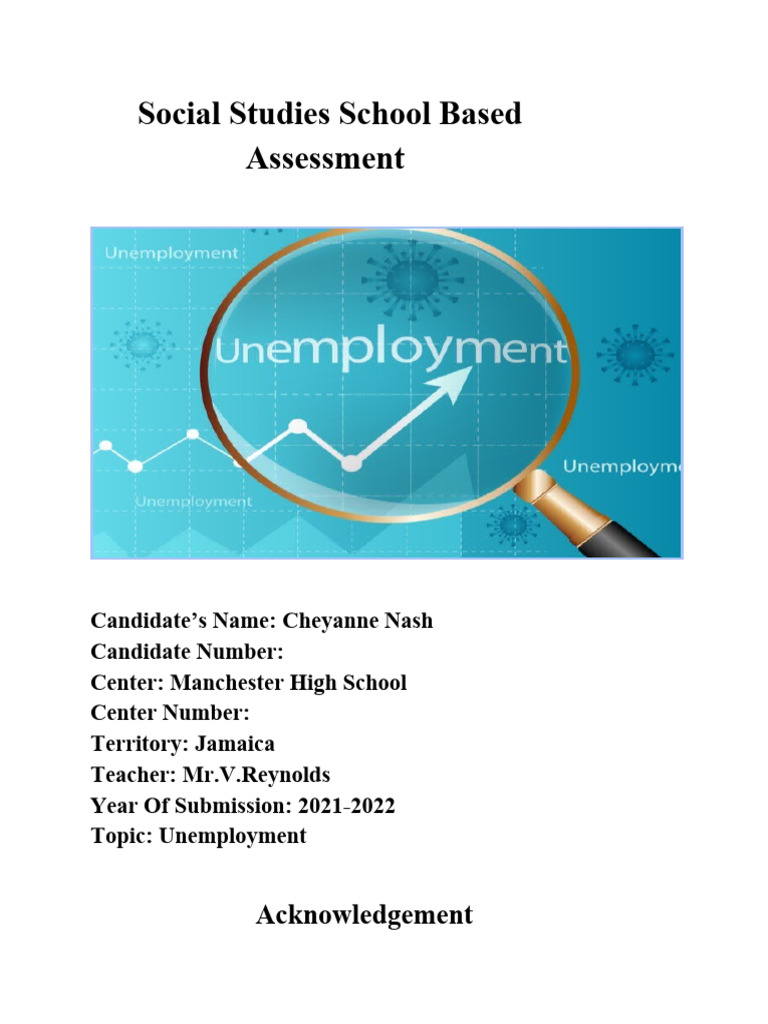 Unemployment Assessment in Community X | PDF | Unemployment | Questionnaire