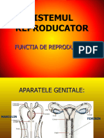 12.-SISTEMUL REPRODUCATOR