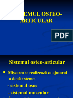 6 Sistemul Osteo Articular