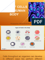 Types of Cells in The Human Body