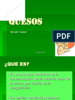 C.6.1 Queso PDF