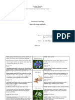 Glosario de Plantas Medicinales