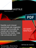 Nastiile