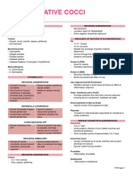 Gram Negative Cocci