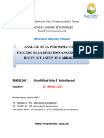 Analyse de La Performance Du Procedes de Digestion Anaerobie