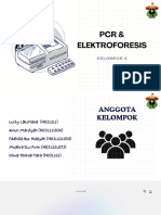 C. Instrumen PCR Dan Elektroforesis