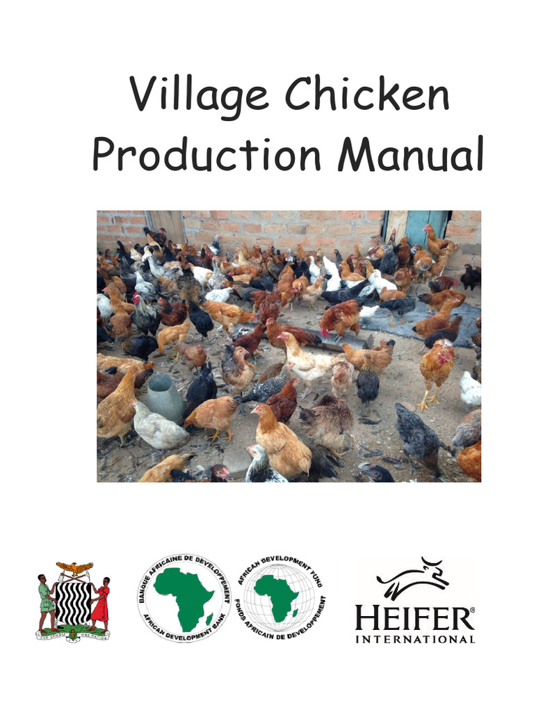 Village Chicken Production Manual | PDF | Chicken | Poultry Farming