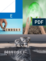 Mindset Theory