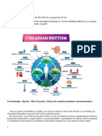 Ciclu Ultradian