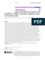 Genome wide identification and characterization of fertility associated novel CircRNAs as ceRNA reveal their regulatory roles in sheep fecundity