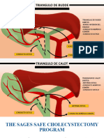 Critical Vision Safety