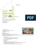 Plan de Lectie Ghicitori Citire Farcasanu Elena