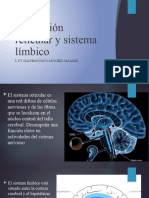 Formación Reticular y Sistema Límbico