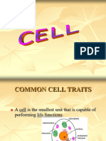 Cells 3