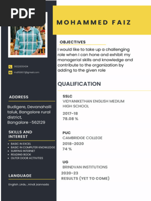 Professional Modern CV Resume