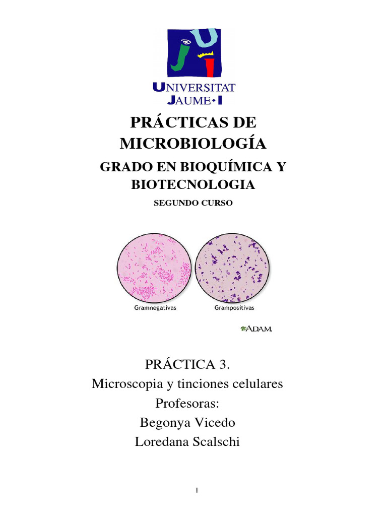 Microscopia y tinciones celulares pdf bacterias gram positivas