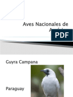 Aves Nacionales de América