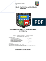 Informe Completo 5 Infore de Laboratorio de La Unalm - Compress