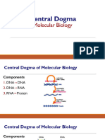 Cell Cycle