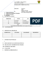 Programación Curricular Anual - Esquema