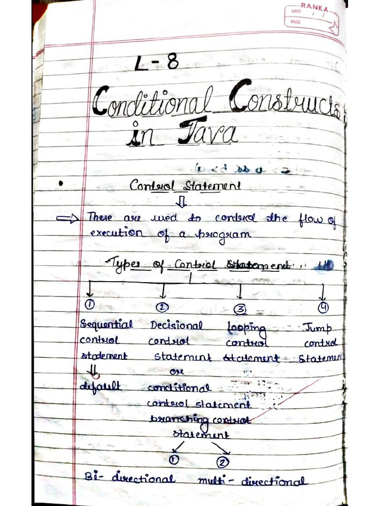 Chapter 8-Conditional Control Statements | PDF