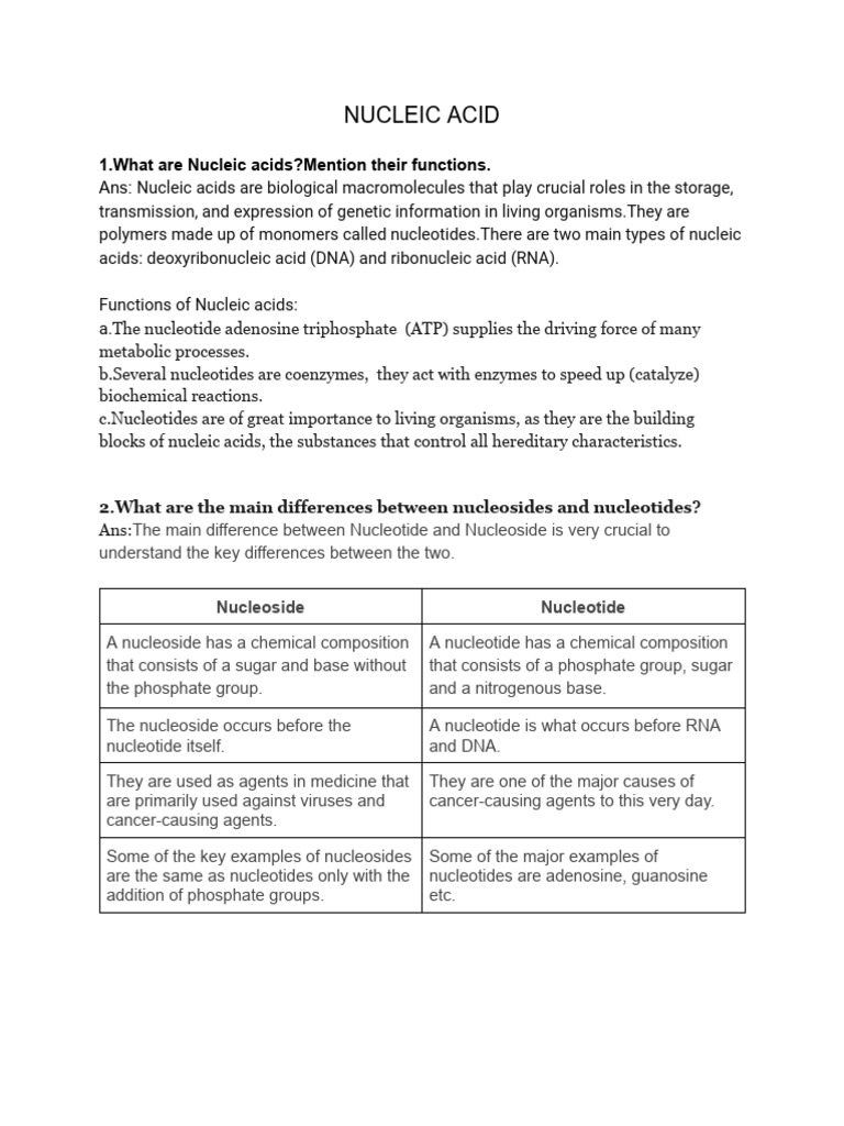 NUCLEIC ACID Notes Download Free PDF Rna Messenger Rna