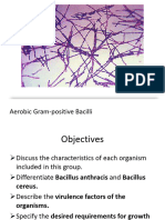 12 Aerobic Gram-Positive Bacilli