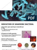 13anaerobic Bacteria