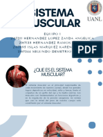 SistemaMuscular Eq1