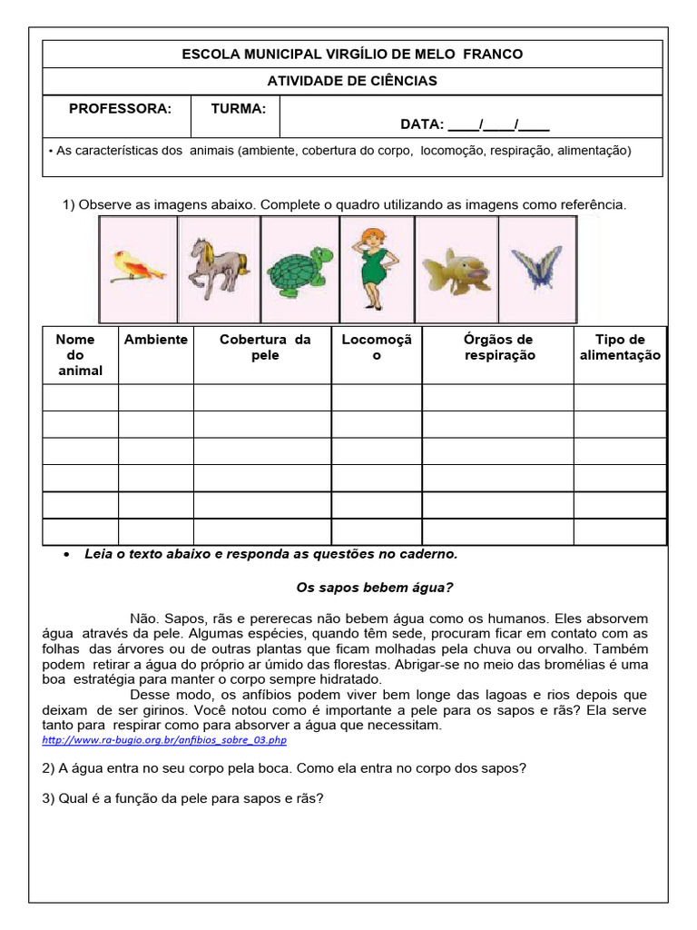 Características dos Animais para 3º Ano | PDF