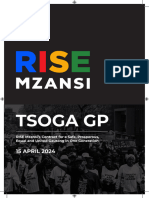 RISE Mzansi plans for Gauteng outlined by Vuyiswa Ramokgopa